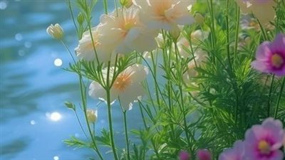 روايه مكتوبة على اسمي 