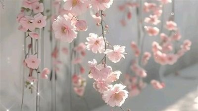 روايه نيران ظلمه بقلم هدير نور