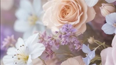 روايه مكتوبة على اسمي 