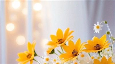 لم أنضج بعد جميع الفصول كاملة