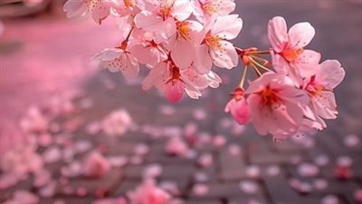 مكتوبة علي إسمي الحلقة 54 بقلم ملك ابراهيم 