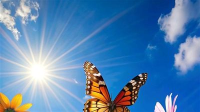 عشق اقتحم حياتي( من الفصل الاول الفصل السابع ) بقلم اسراء ابراهيم
