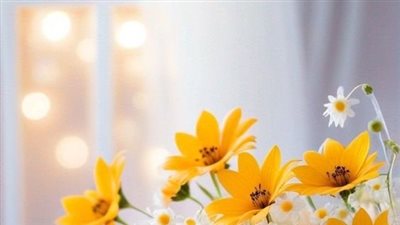 رواية لن تحبني (كاملة من الفصل الاول الى نهاية الفصل الاخير) بقلم ميرال مراد