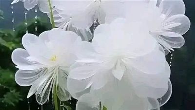 قصه قلوب حائره (كاملة من الفصل الاول للفصل الاخير ) بقلمي روز أمين 
