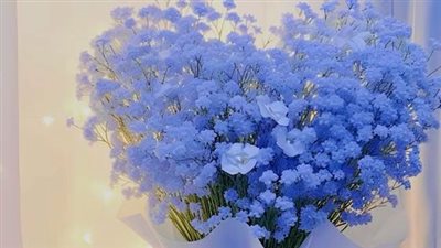 رواية امل الحياه ( الفصل 37 )
