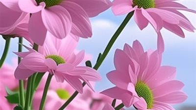 رواية ولنا في الحلال لقاء (كاملة حتى نهاية الفصل الأخير ) بقلم فاطمة ابراهيم