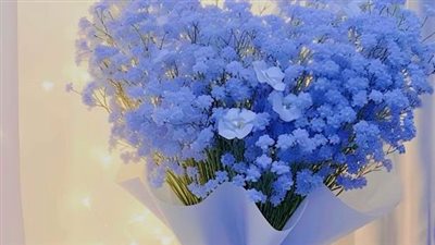 روايه في هويد الليل الفصل 4 بقلم لولا 