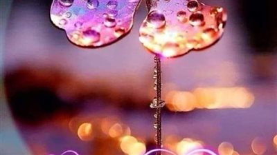 عاد إلى البيت غاضبًا