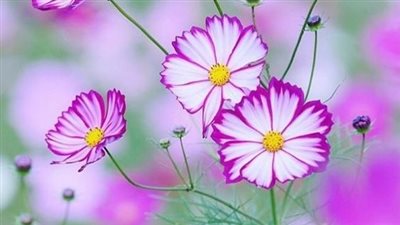 حماتي رفعت إيدها… وأنا وقفت
