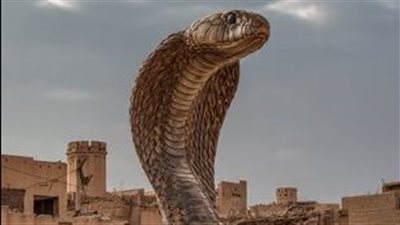 أم سليم 