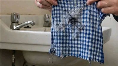 اعترافات ام فهمت متاخر